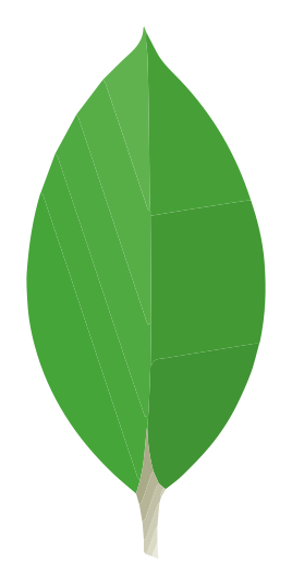 MongoDB logo